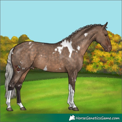 Horse Color:White Spotted Silver Brown Dun Tobiano Appaloosa Rabicano 