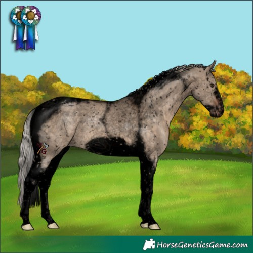 Horse Color:Void Silver Brown Dun Tobiano Frame Appaloosa Rabicano