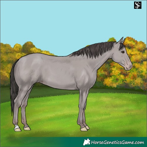 Horse Color:Platinum Classic Champagne 
