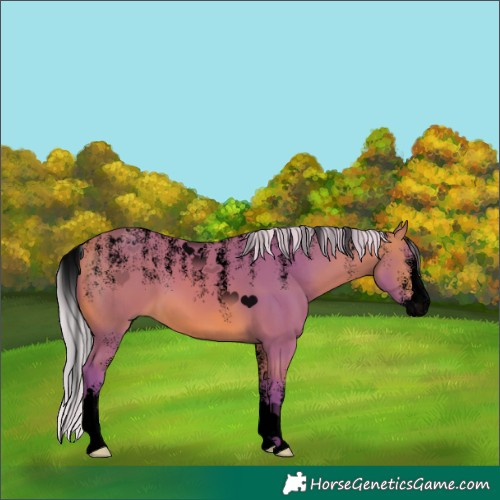 Horse Color:Powder White Void Watercolor Silver Bay