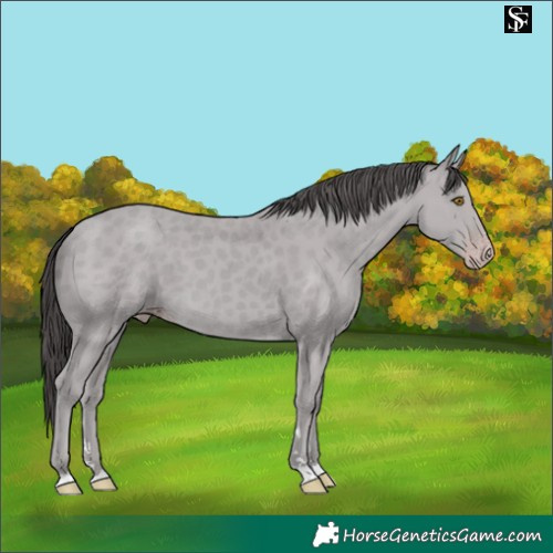 Horse Color:Platinum Classic Cream Champagne 