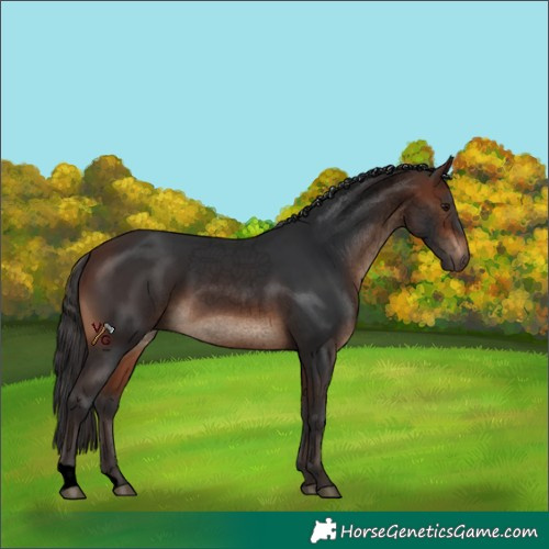 Horse Color:Void Brown
