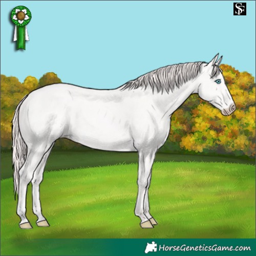 Horse Color:Perlino 