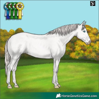 Horse Color:Perlino 