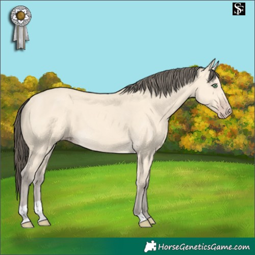 Horse Color:Amber Cream Champagne