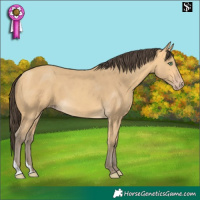 Horse Color:Amber Cream Champagne 