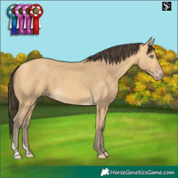 Horse Color:Amber Cream Champagne 