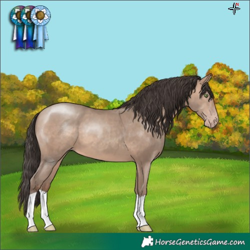 Horse Color:Sable Champagne