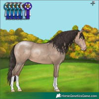 Horse Color:Sable Champagne