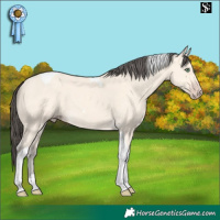 Horse Color:Amber Cream Champagne Tobiano 