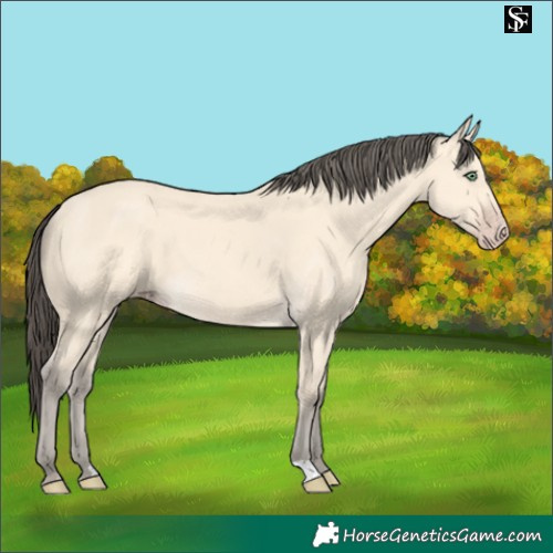 Horse Color:Amber Cream Champagne