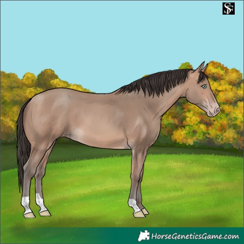 Horse Color:Amber Champagne