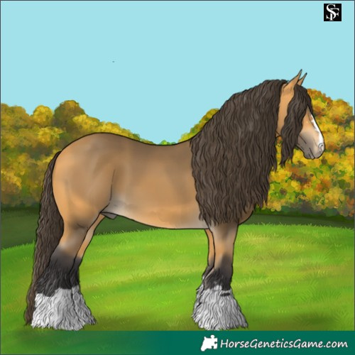 Horse Color:Pseudo Buckskin 