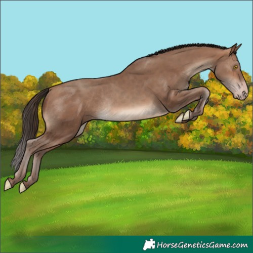 Horse Color:Sable Champagne Rabicano 