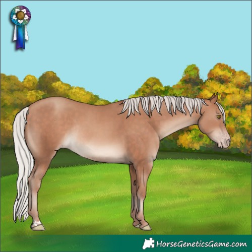 Horse Color:Silver Sable Champagne Rabicano