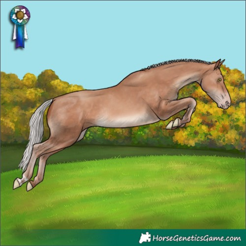 Horse Color:Silver Sable Champagne Rabicano