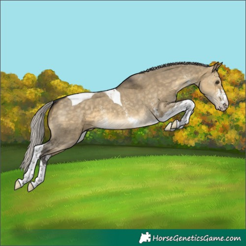 Horse Color:Silver Buckskin Dun Sabino Tobiano