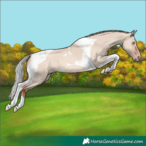 Horse Color:Silver Sable Champagne Dun Tobiano