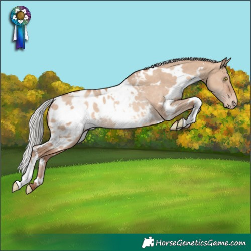 Horse Color:White Spotted Silver Sable Champagne Dun Appaloosa Rabicano