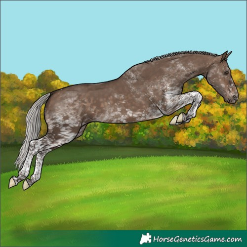Horse Color:White Spotted Silver Brown Dun Tobiano 