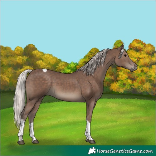 Horse Color:Silver Black Tobiano 