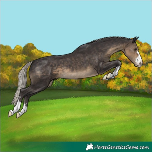 Horse Color:Silver Smoky Black 