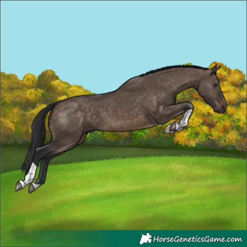 Horse Color:Brown Dun Tobiano