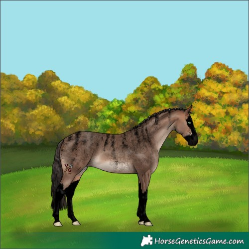 Horse Color:Powder White Void Sable Champagne Splash