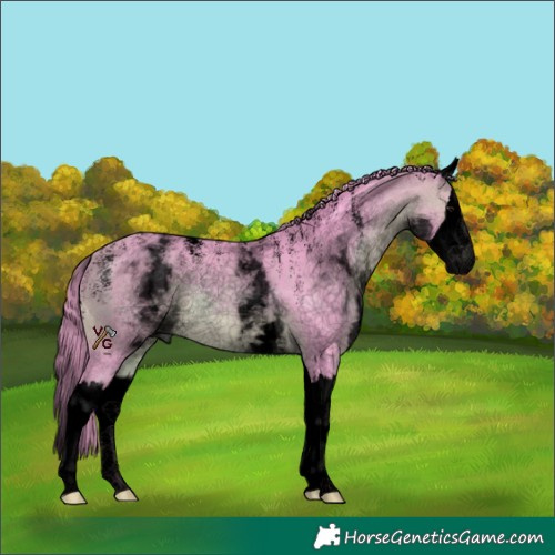 Horse Color:Powder White Void Watercolor White Spotted Bay Splash