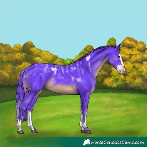Horse Color:Powder White Watercolor Black Splash