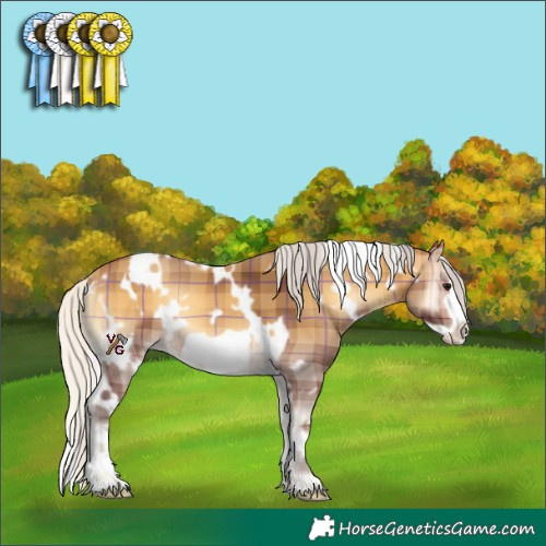 Horse Color:Plaid White Spotted Silver Buckskin Onyx Frame