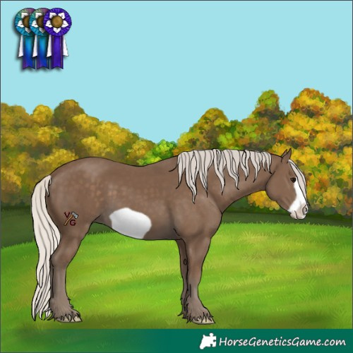 Horse Color:Silver Smoky Black Frame