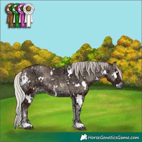 Horse Color:Plaid  White Spotted Silver Blue Onyx Ice 