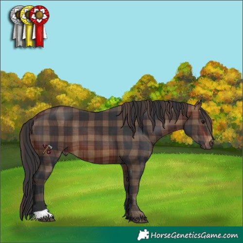Horse Color:Plaid  Brown 