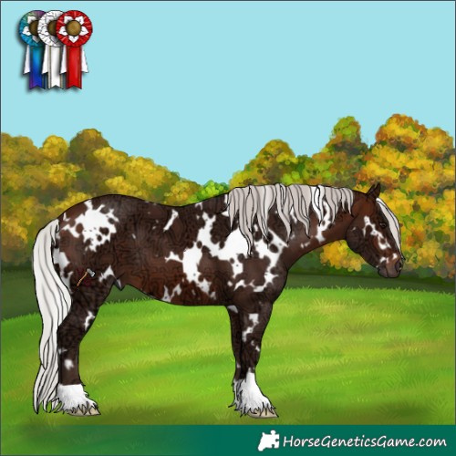 Horse Color:White Spotted Silver Brown Ice