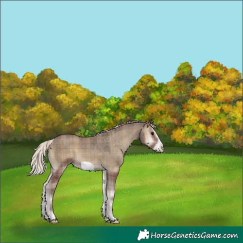 Horse Color:Plaid Silver Smoky Blue Onyx Frame