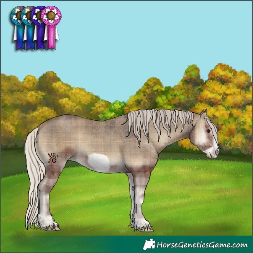 Horse Color:Plaid  Silver Smoky Blue Onyx Frame 