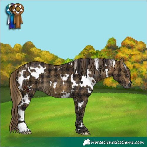 Horse Color:Plaid  White Spotted Buckskin Ice 