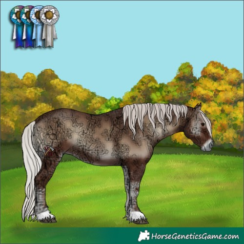 Horse Color:Silver Blue Onyx Ice 