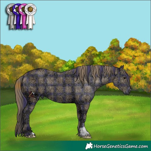 Horse Color:Plaid  Smoky Black Ice 