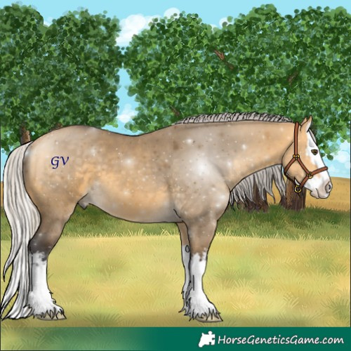 Horse Color:White Spotted Silver Buckskin Dun Splash