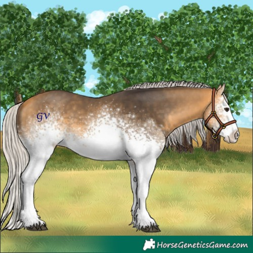 Horse Color:White Spotted Silver Buckskin 