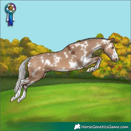 Horse Color:White Spotted Silver Brown Dun
