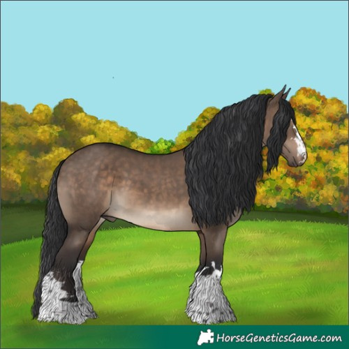 Horse Color:Brown Dun