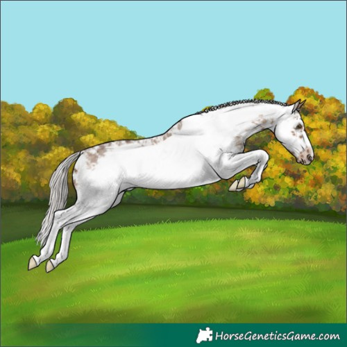 Horse Color:Silver Brown Dun Sabino Frame