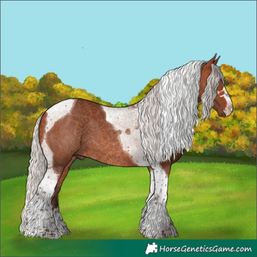 Horse Color:Silver Brown Tobiano