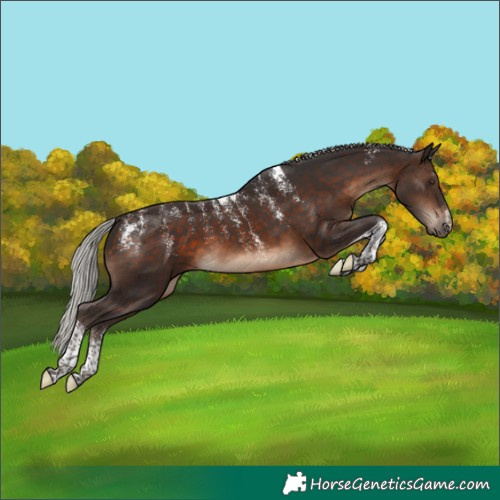 Horse Color:Powder White Silver Brown Tobiano 