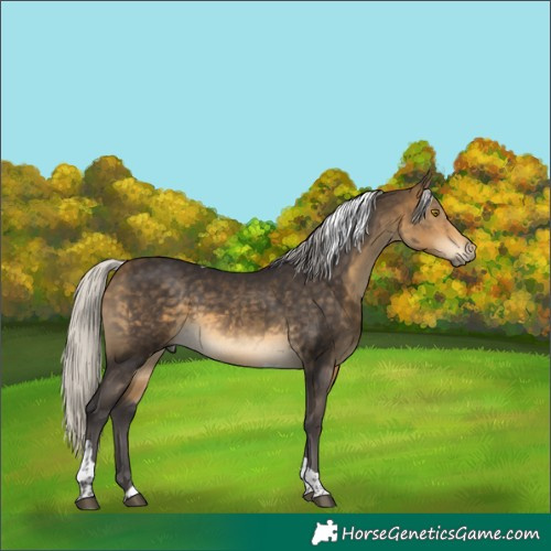 Horse Color:Silver Buckskin Tobiano 