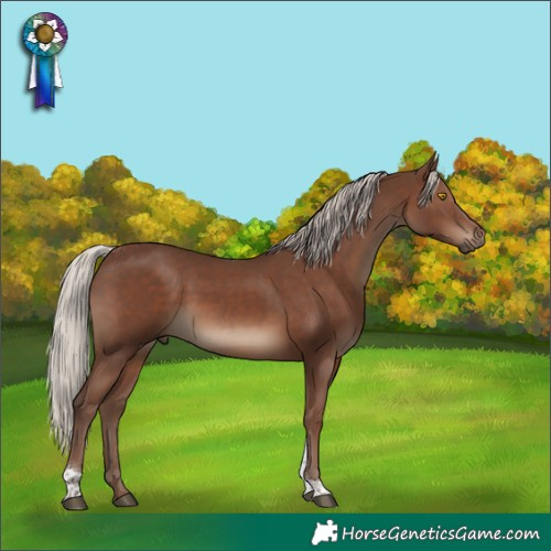 Horse Color:Silver Black Tobiano