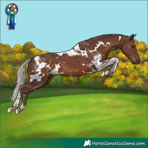 Horse Color:White Spotted Silver Black Tobiano